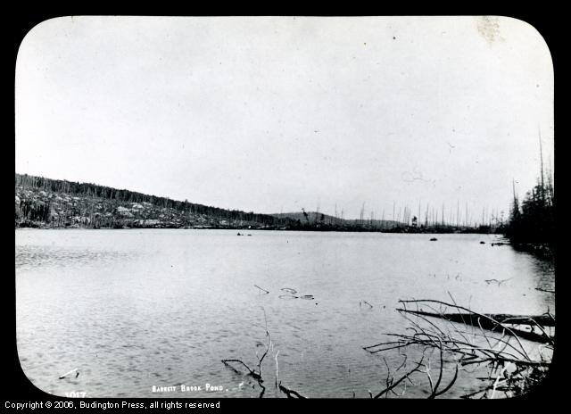 Barrett Brook Pond